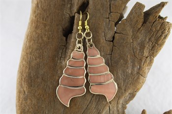Mother of Pearl shell earrings