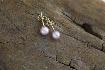 Fresh Water Pearl Studs