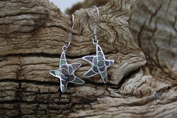 Starfish Earrings