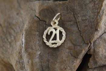 9ct yg 21 in circle charm