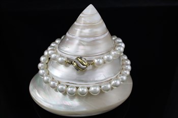 Akoya Cultured Pearl Necklace