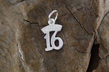 Stg Sil Sweet 16 charm