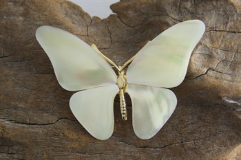 White mother of pearl butterfly brooch