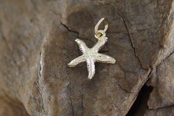 9ct yg starfish charm