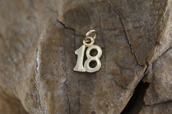 9ct yg 18 charm