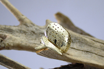 Whaleshark Ring