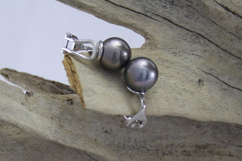   South Sea Black Cultured Pearl Clipon Earrings