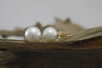 South Sea Pearl Studs