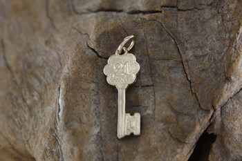 9ct yg 21 key charm