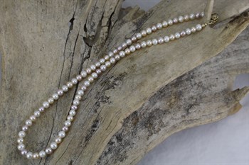 Fresh Water Pearl Bracelet