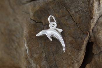 Stg Sil Dolphin charm