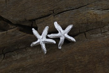 Stg Sil Starfish stud earrings