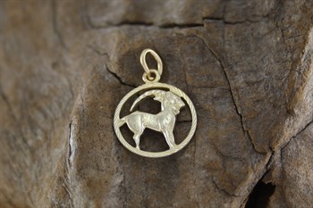 9ct yg Capricorn  charm